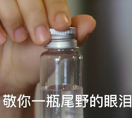 尾野谈恋爱表情包大全 轮到你了表情包合集