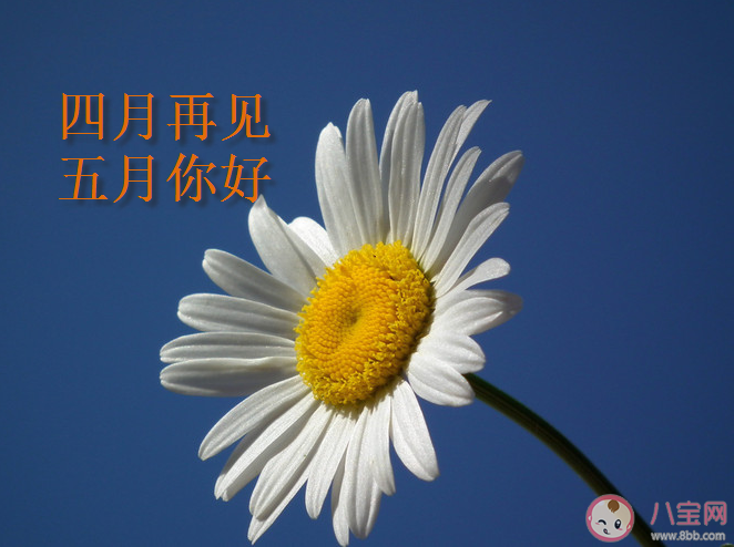2020四月再见五月你好句子图片大全 四月再见五月你好唯美说说语录