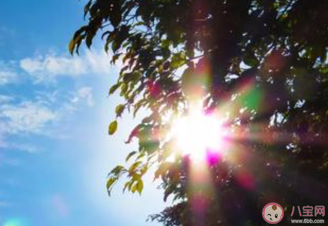 2020天气回暖的心情文案句子 天气暖和起来了的心情说说 2020天气回暖的心情文案句子 天气暖和起来了的心情说说