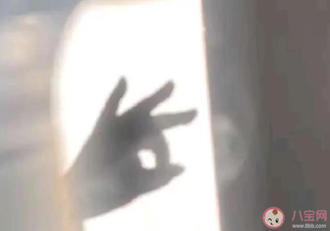 同人圈太太是什么意思 太太梗的出处是什么