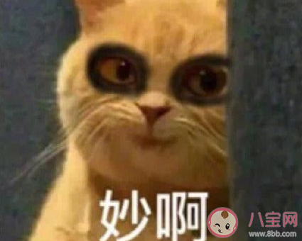 如果网聊标注年龄会怎样 网聊应该标注年龄吗