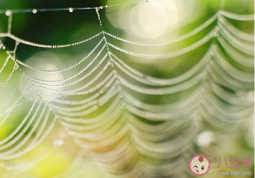 2020妇女节抗击疫情的说说文案大全 妇女节祝福医护女性工作者的说说