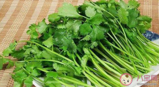 香菜根煮水对湿疹有用吗 香菜根熬水喝有什么功效 香菜根煮水对湿疹有用吗 香菜根熬水喝有什么功效