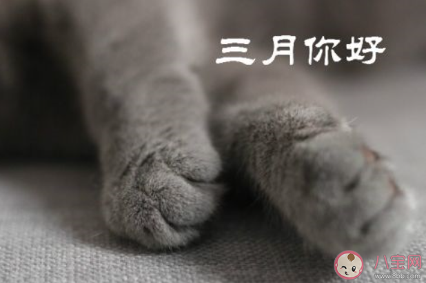 2月再见3月你好的经典文案说说 告别2月迎接3月的个性文案句子 2月再见3月你好的经典文案说说 告别2月迎接3月的个性文案句子