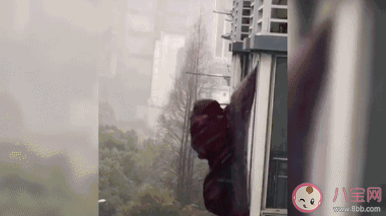 武汉网红窗帘将被博物馆收藏真的吗  武汉窗帘为什么成了网红