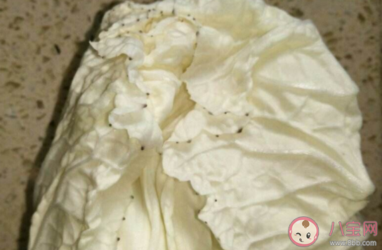 白菜带黑点是怎么回事 白菜上的黑点有毒吗 白菜带黑点是怎么回事 白菜上的黑点有毒吗