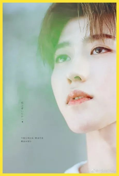 显微镜女孩是什么意思  显微镜女孩是什么梗