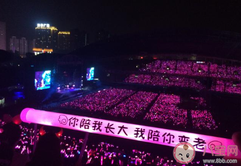 粉红小公举是什么意思指的是谁 粉红小公举含义出处是什么 粉红小公举是什么意思指的是谁 粉红小公举含义出处是什么