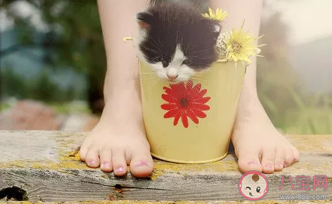 2020五月最后一天怎么发朋友圈 5月最后一天说说文案