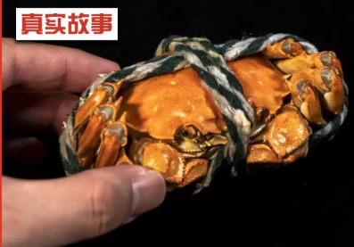 秋分可以吃螃蟹吗 秋分吃螃蟹好吗 秋分可以吃螃蟹吗 秋分吃螃蟹好吗