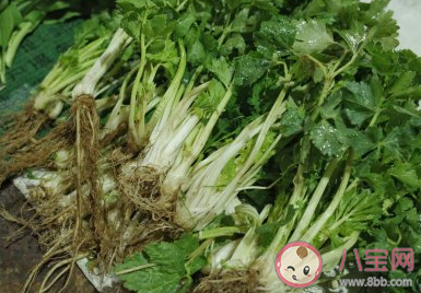 见过最挑食的人是怎样的 最接受不了的食物是什么