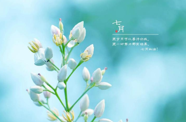 2020七月你好的优美文案说说短句 2020七月你好的朋友圈美好说说