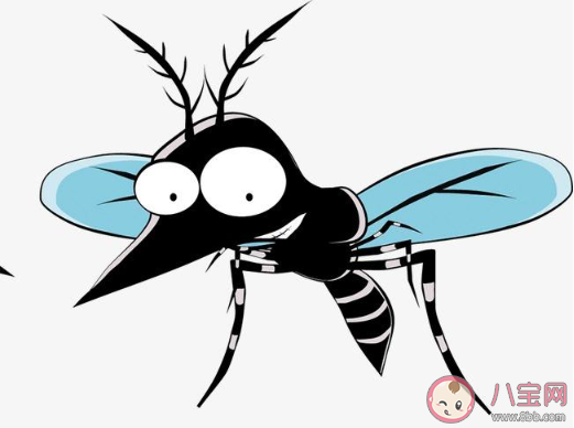 讨厌夏天蚊子的说说 因为蚊子讨厌夏天的说说