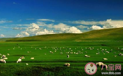 2020还没来得及去的地方是哪里 最想去的地方城市