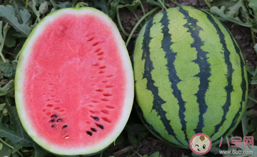 适合孩子夏季吃的金牌水果 夏天吃什么水果好 适合孩子夏季吃的金牌水果 夏天吃什么水果好