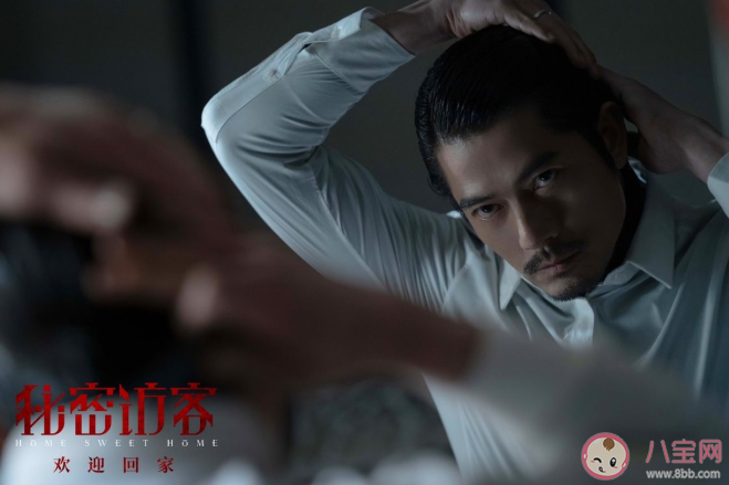 《秘密访客》讲述了什么故事 《秘密访客》好看吗