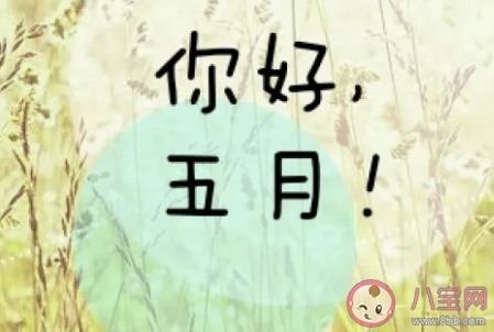2020五月你好感恩的句子说说 5月你好简短祝福语