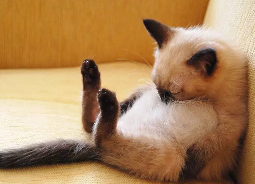 当代人失眠的原因有哪些 失眠对身体有什么影响