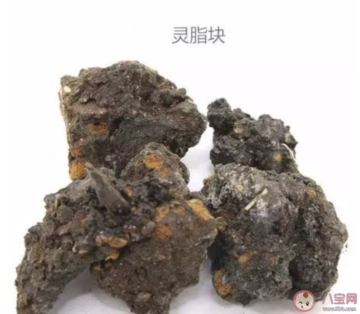 什么是五灵脂呢 以及五灵脂有什么作用呢