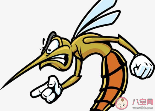 讨厌夏天蚊子的说说 因为蚊子讨厌夏天的说说