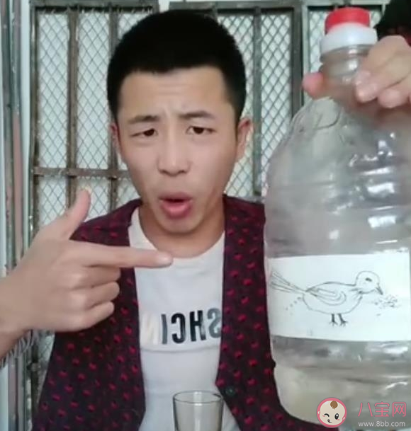 小鸟伏特加这么高是什么梗 小鸟伏加特是什么意思 小鸟伏特加这么高是什么梗 小鸟伏加特是什么意思