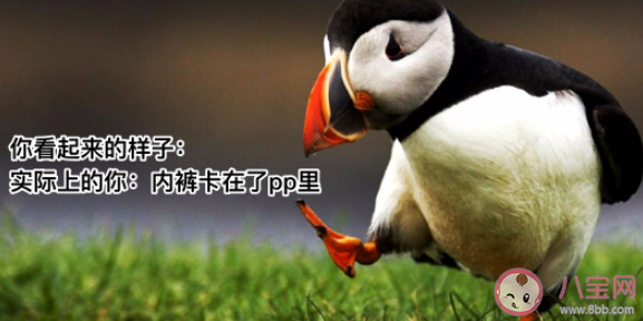 只有你自己知道的尴尬日常是什么 日常生活什么事情会比较尴尬 只有你自己知道的尴尬日常是什么 日常生活什么事情会比较尴尬