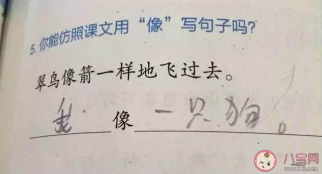 做过哪些奇奇怪怪的作业 奇奇怪怪的作业盘点 做过哪些奇奇怪怪的作业 奇奇怪怪的作业盘点