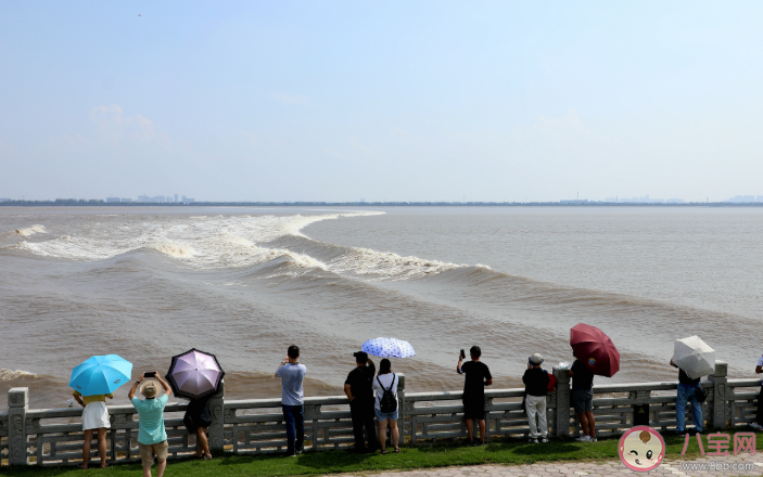 蚂蚁庄园4月3日正确答案:钱塘江观潮最佳时节 蚂蚁庄园4月3日正确答案:钱塘江观潮最佳时节