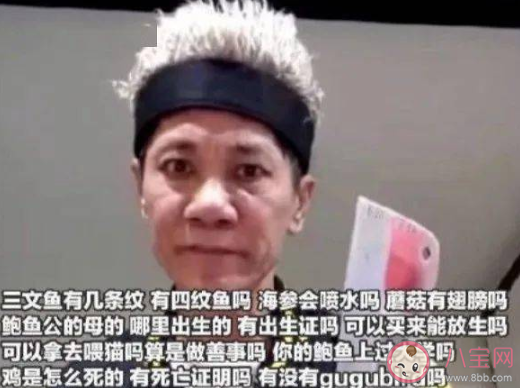 林北是什么意思什么梗 林北梗的出处是什么