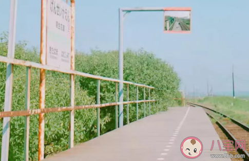 生活中有哪些特殊癖好 生活中的小癖好合集 生活中有哪些特殊癖好 生活中的小癖好合集