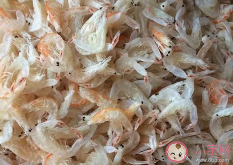 芒种虾皮是什么意思 芒种虾皮如何辨别真假