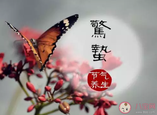 惊蛰是几月几号 2020惊蛰是什么时候