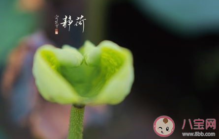 2020六月最后一天的心情句子 2020六月最后一天了心情语录