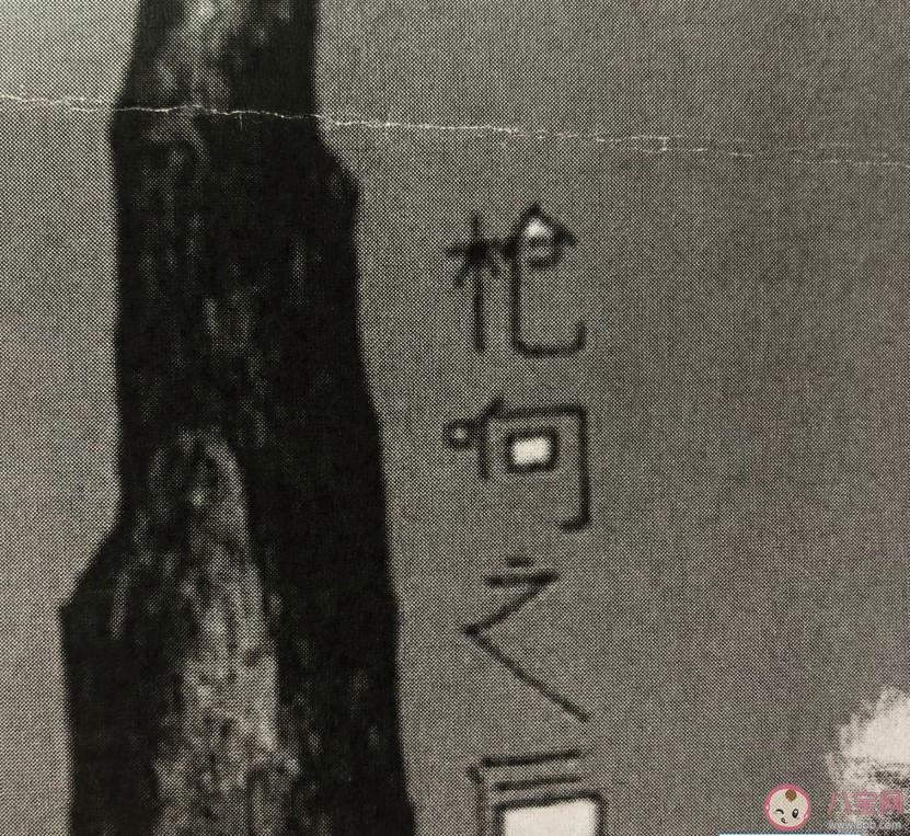 三生三世枕上书洁绿和小燕有感情戏吗 洁绿公主结局是什么