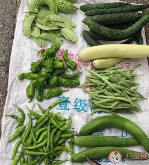 第一次摆地摊怎么发说说好 第一次摆地摊感悟