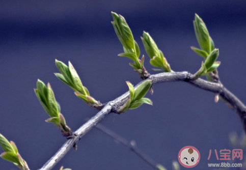 2020春在前方疫情散去朋友圈说说 2020春在前方抗击疫情坚持的说说句子