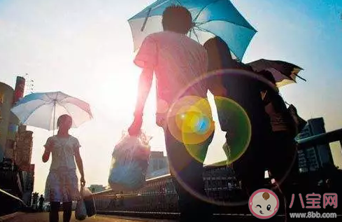 夏至节气吃什么食物 夏至节气饮食注意什么