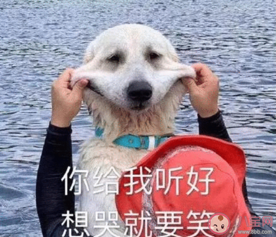 难过时不善于表达情绪的人怎么消化情绪 有负面情绪怎么消化