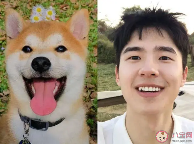 网络用语狗塑是什么意思什么梗 狗塑为什么火了