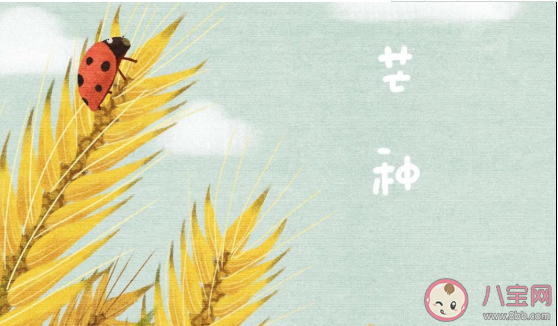 2020芒种节气文案配图 2020芒种节气很火的朋友圈文案