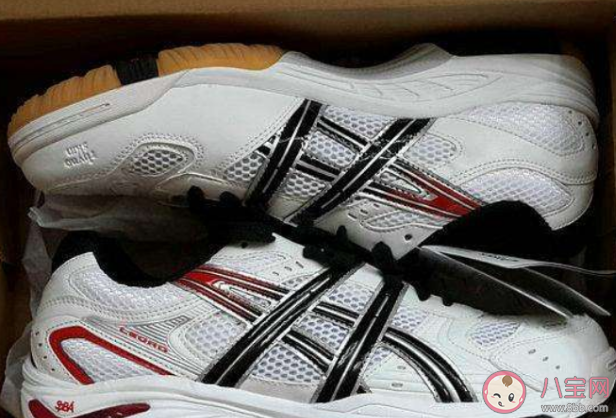 排球鞋和篮球鞋是一样的吗 排球运动员为什么穿篮球鞋
