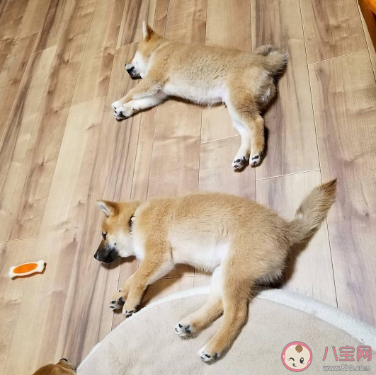 最近老做梦朋友圈心情 最近老做梦句子感慨