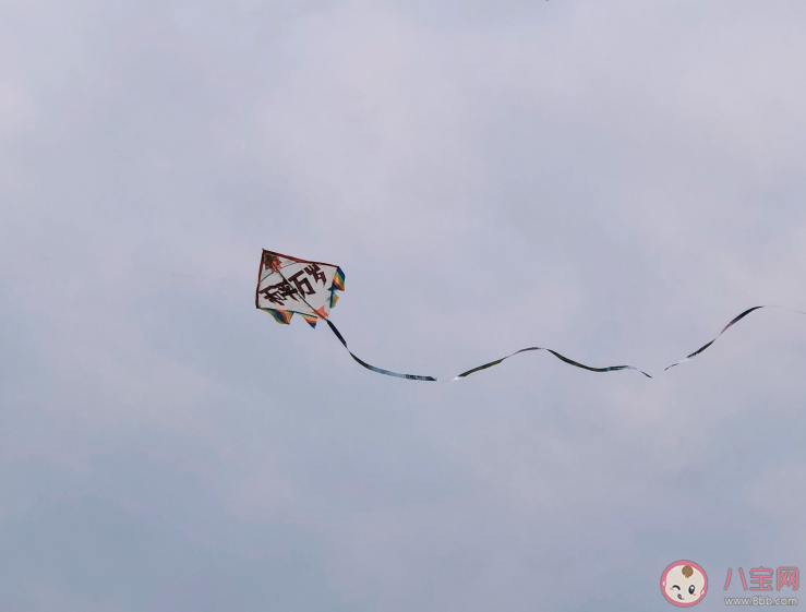 春天来了朋友圈心情 春天来了说说句子感慨