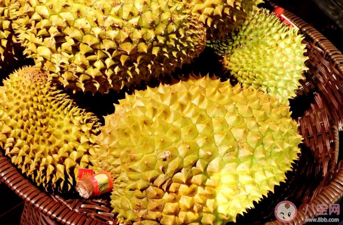 带壳的榴莲能保存多久 买回来的​榴莲怎么保存比较好