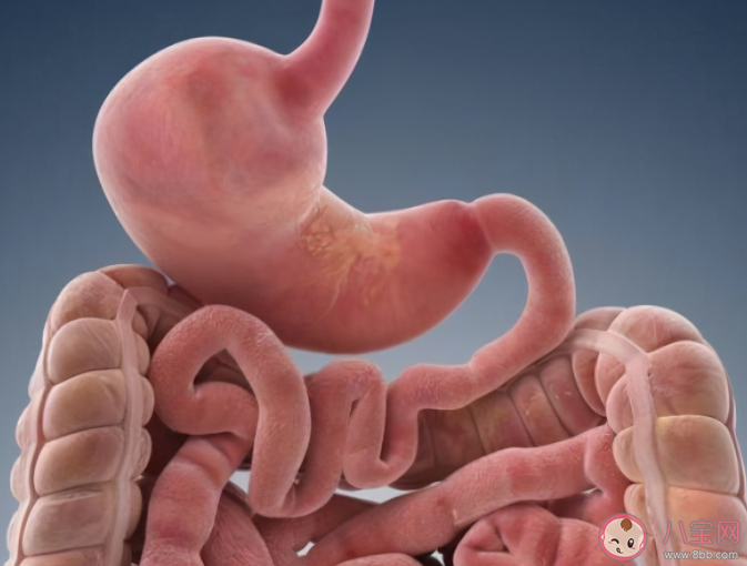 蚂蚁庄园排宿便等于排毒说法靠谱吗 4月29日正确答案 蚂蚁庄园排宿便等于排毒说法靠谱吗 4月29日正确答案