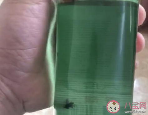 红星二锅头回应酒里泡苍蝇说了什么 红星二锅头如何辨别真假