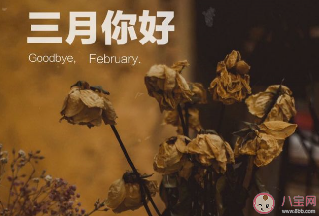 四年一次2月29日的心情文案句子 2月29日的创意文案说说大全