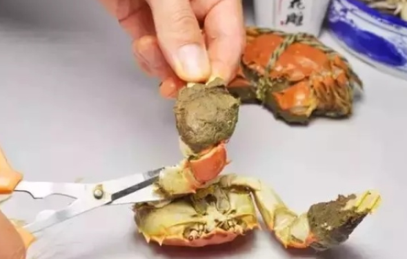 螃蟹哪些部位不能吃图解 螃蟹怎么吃图解