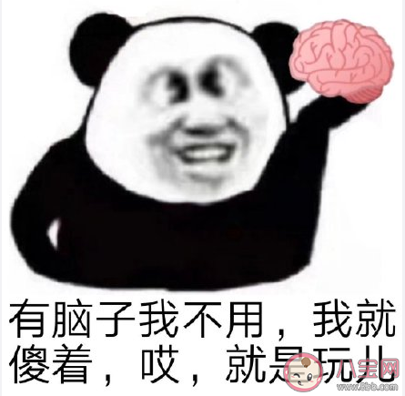 抖音哎就是玩儿是什么梗什么意思 就是玩儿梗出处来源是哪里