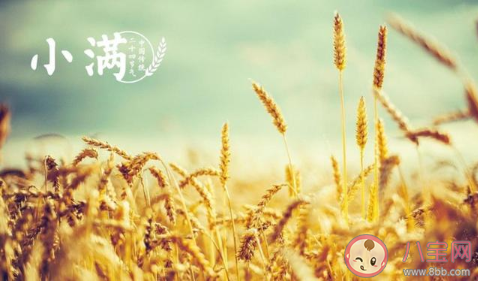 520小满节气的祝福语文案简短说说 520遇上小满节气的祝福语文案短句